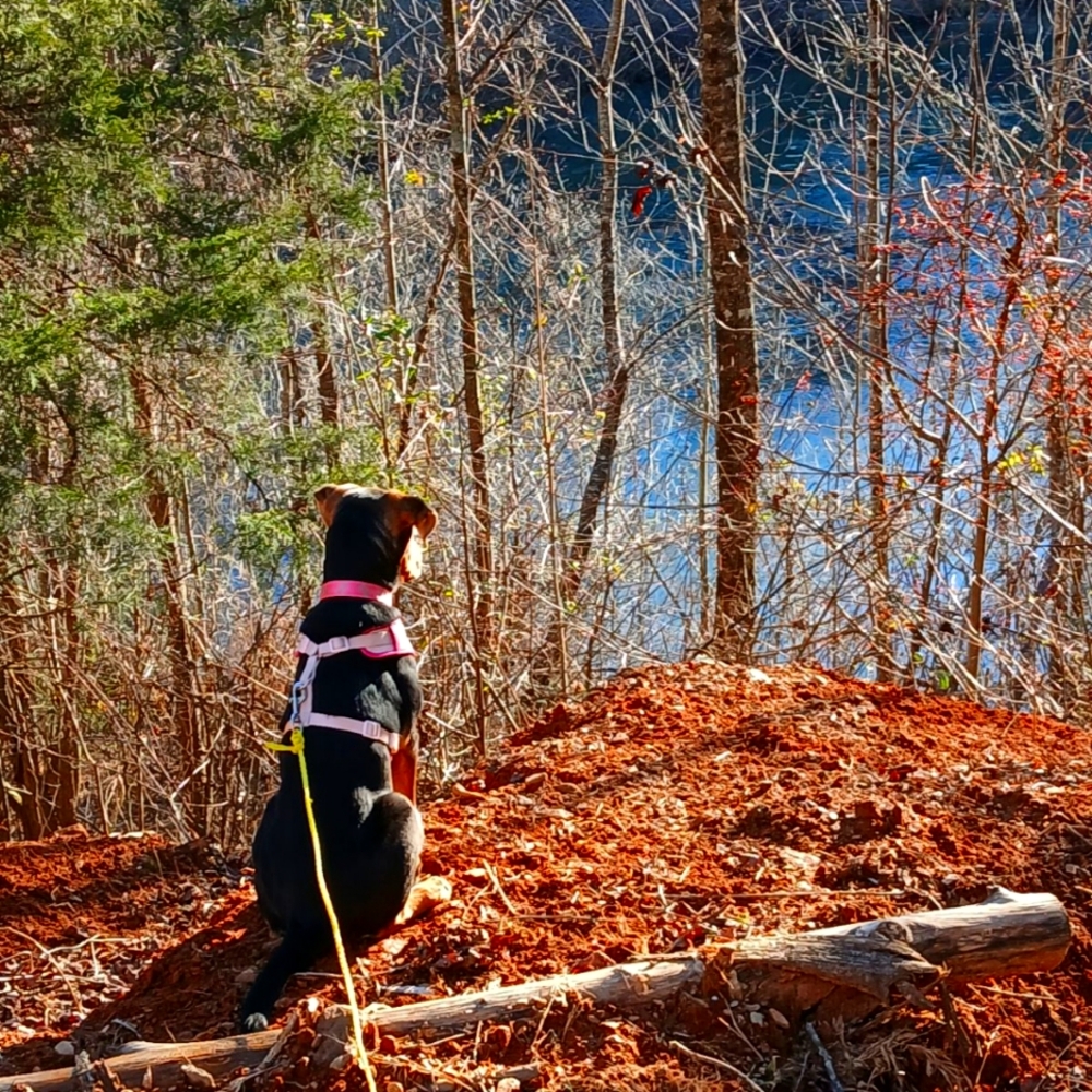 Meet your Posher, Margaret